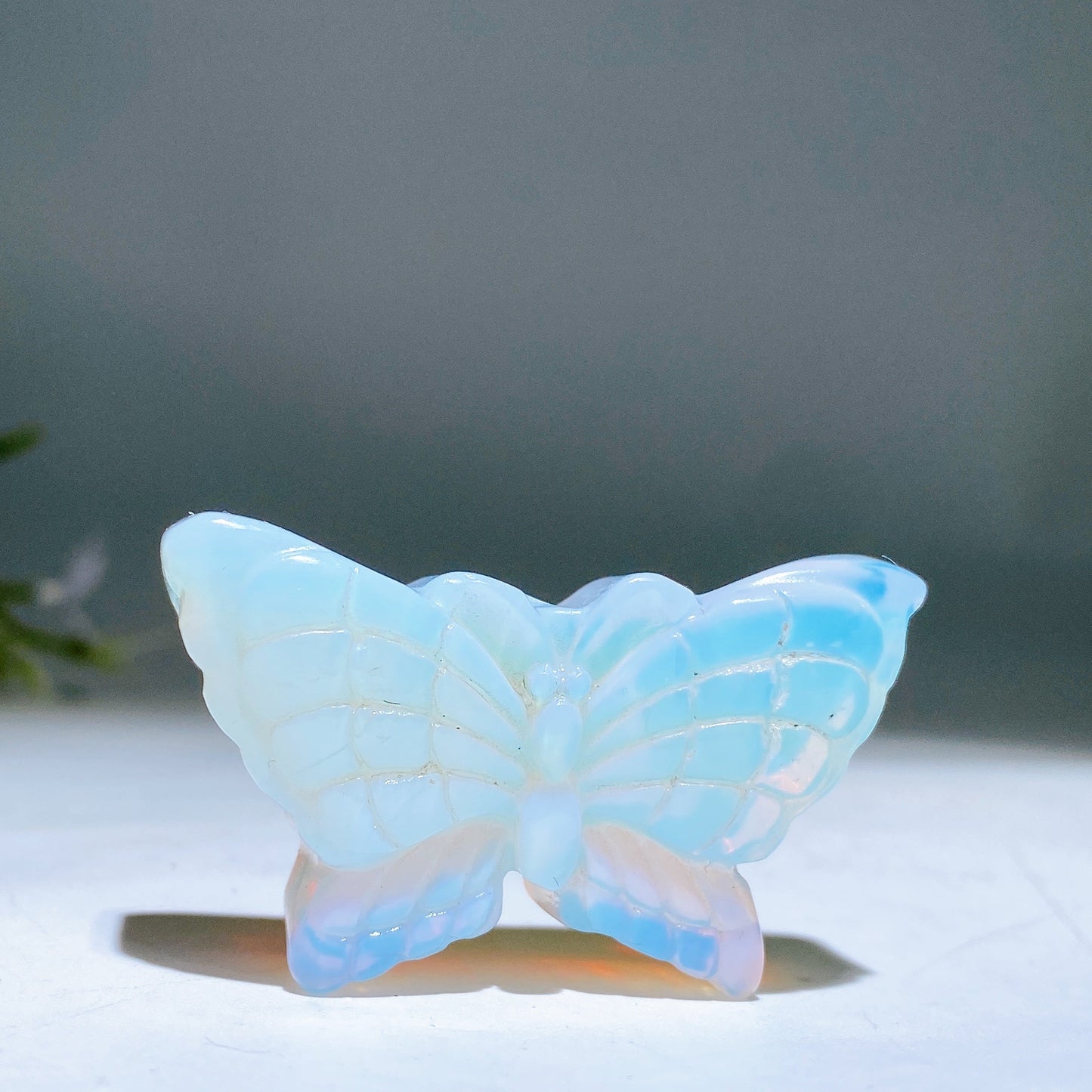 1.9" Opalite Butterfly Carving Crystal Healing Bulk Wholesale