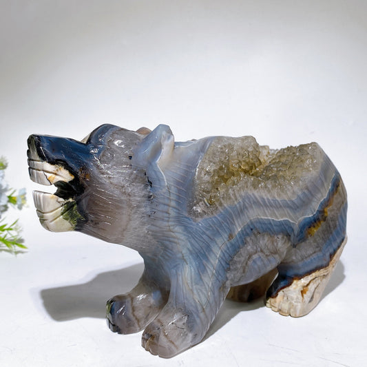 22cm Large Unique Druzy Volcanic Agate Bear Carving Crystal Healing Bulk Wholesale