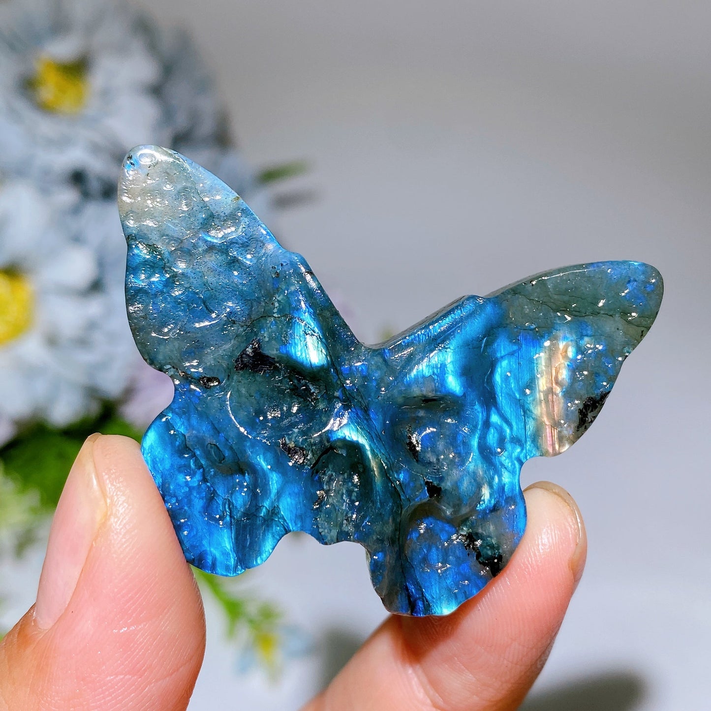1.9" Labradorite Skull Butterfly Carving Crystal Healing Bulk Wholesale