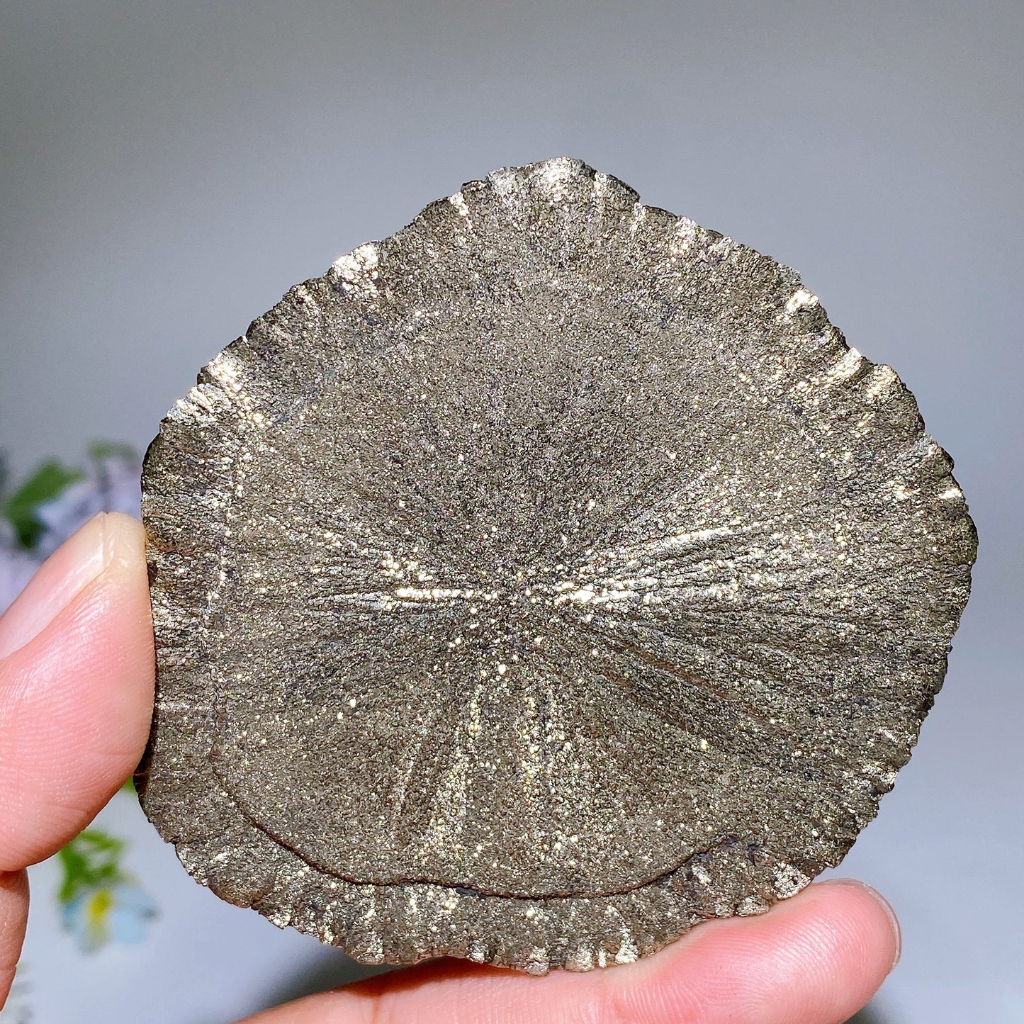 2.8"-3.3" Pyrite Sun Carving Crystal Healing Bulk Wholesale