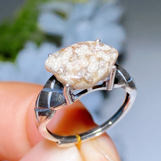 S925 Ocean Jasper Ring Crystal healing Bulk Wholesale