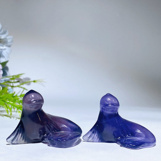 2.1" Fluorite Seal Carving Crystal Healing Bulk Wholesale