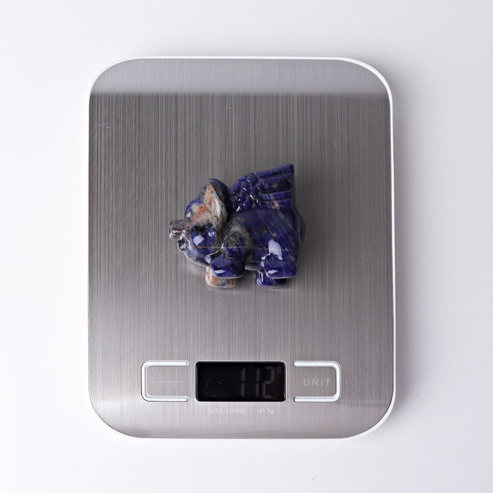 2.3" Sodalite Flying Pig Crystal Carvings Wholesale Crystals