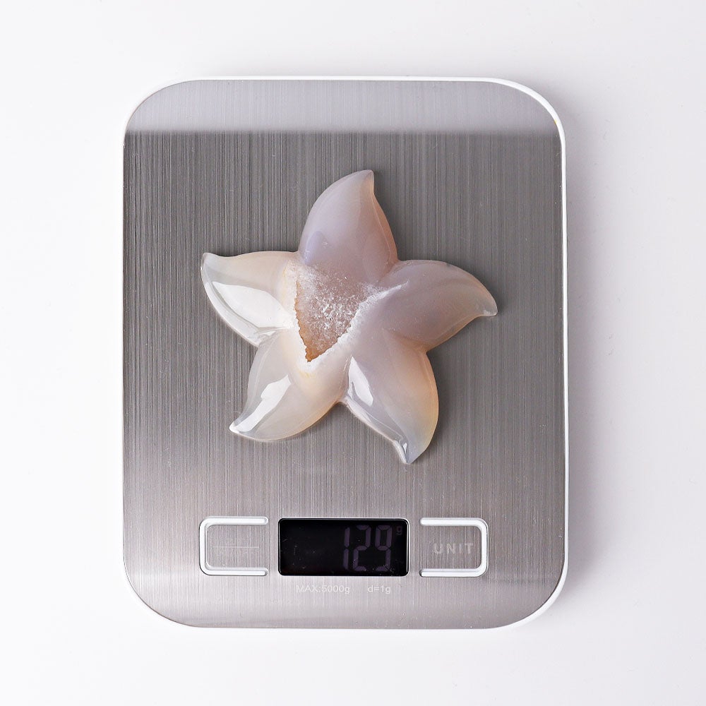 3.0"-3.5" Druzy Agate Starfish Crystal Carvings Wholesale Crystals