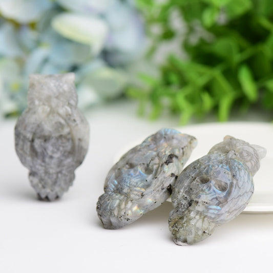 2.1" Labradorite Owl with Skull Dec Crystal Carving Wholesale Crystals