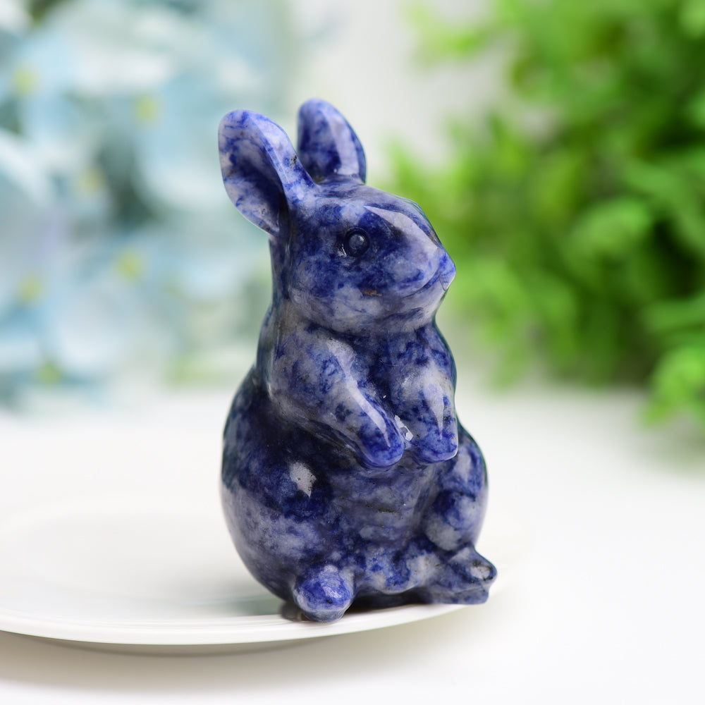 3.0" Sodalite Rabbit Animal Crystal Carving Wholesale Crystals