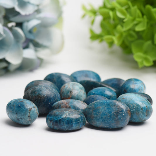 25-30mm Blue Appatite Crystal Tumbles Bag Bulk Wholesale Wholesale Crystals