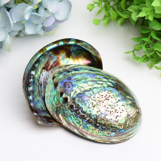 5.0" Aura Shell Free Form Wholesale Crystals
