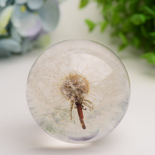 2.6" Resin Sphere with Dandelion Inside Bulk Wholesale Wholesale Crystals