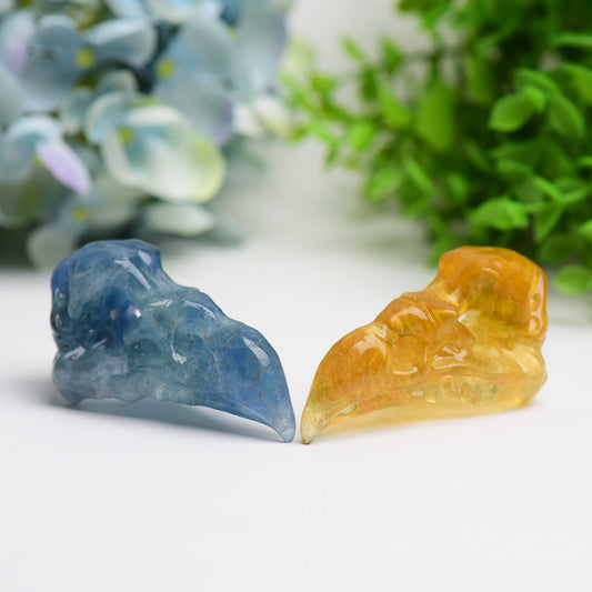 3.0" Fluorite Raven Skull Crystal Carving Bulk Wholesale Wholesale Crystals