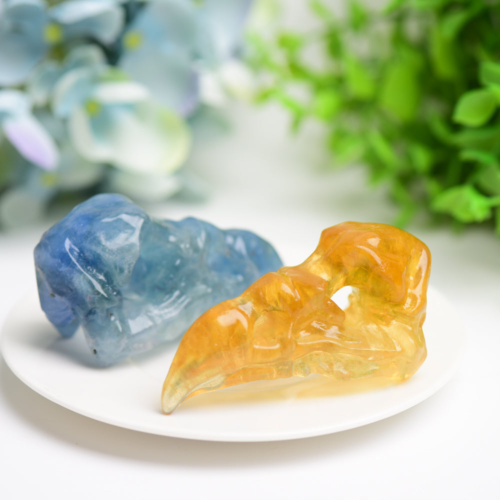 3.0" Fluorite Raven Skull Crystal Carving Bulk Wholesale Wholesale Crystals
