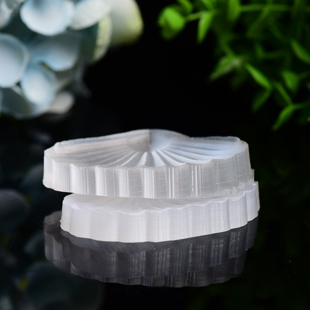 2.7" Selenite Shell Shape Carving Bulk Wholesale Wholesale Crystals