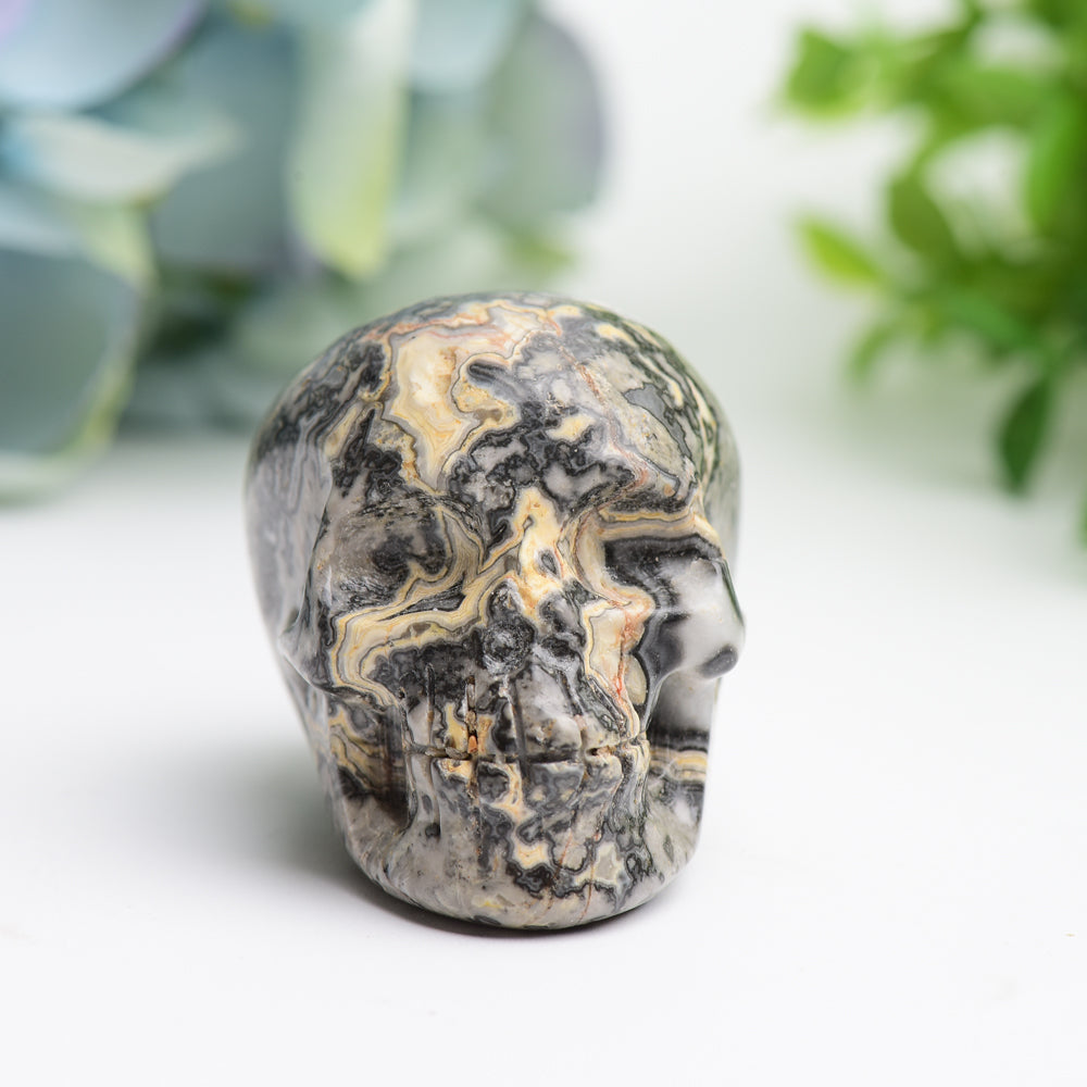 2.0" Piccaso Stone Skull Crystal Carving Bulk Wholesale Wholesale Crystals