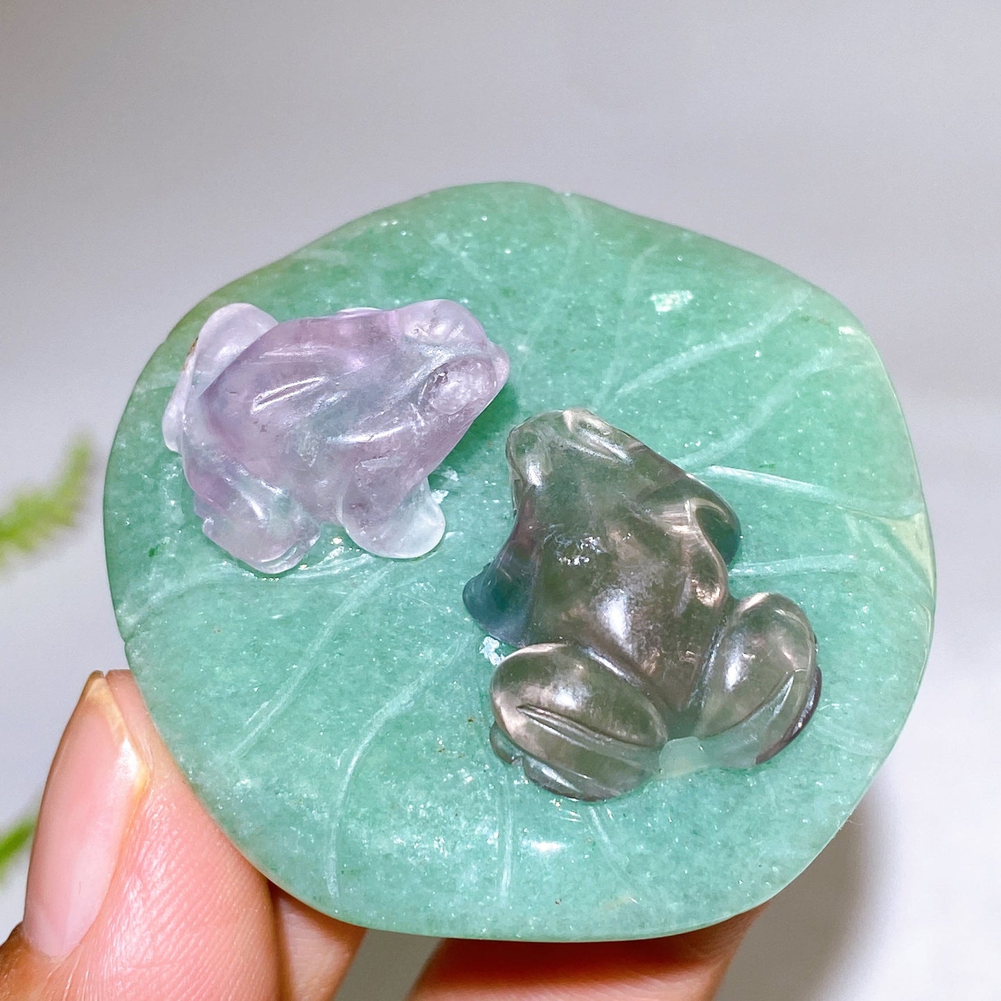 2.0" Fluorite Frogs on Aventurine Lotus Leaf Carving Wholesale