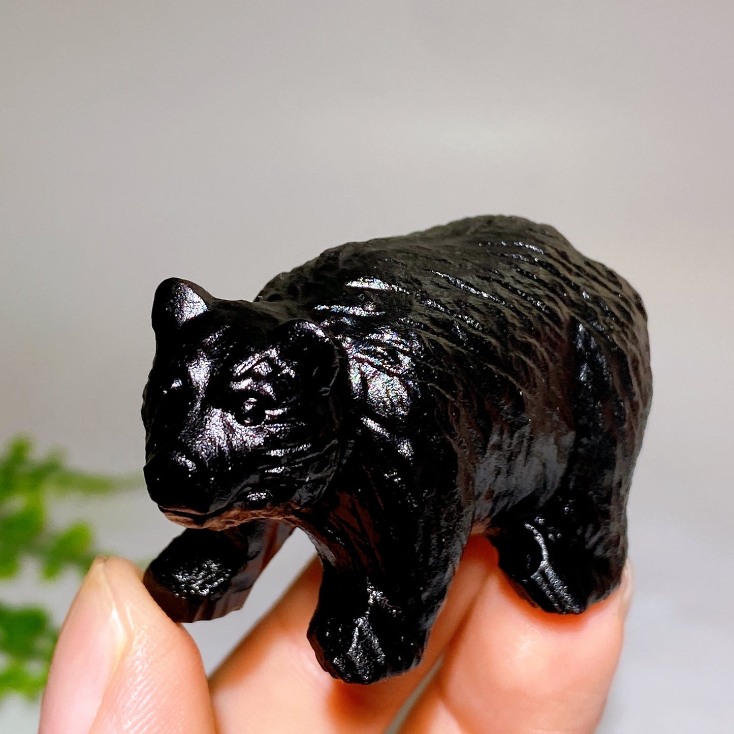 2.0" Natural Black Obsidian Bear Carving Wholesale