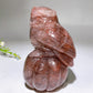 5.2" Fire Quartz Owl on Pumpkin Carving Crystal Healing Bulk Wholesale