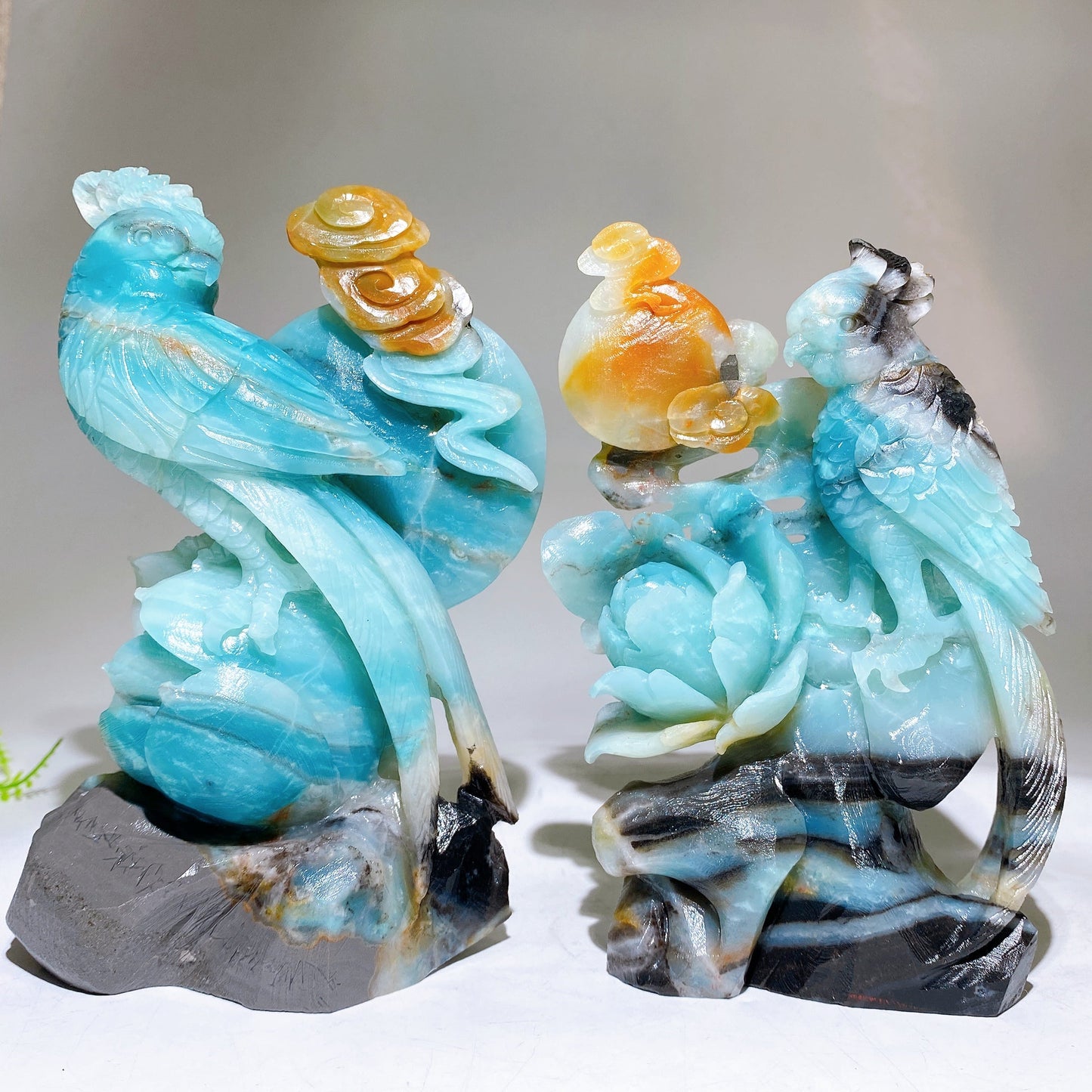 Hand Carved Unique Natural Caribbean Calcite Parrot Peony Cloud Free Form Wholesale