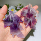 3.0" Crystal leaf Carving Crystal Healing Bulk Wholesale