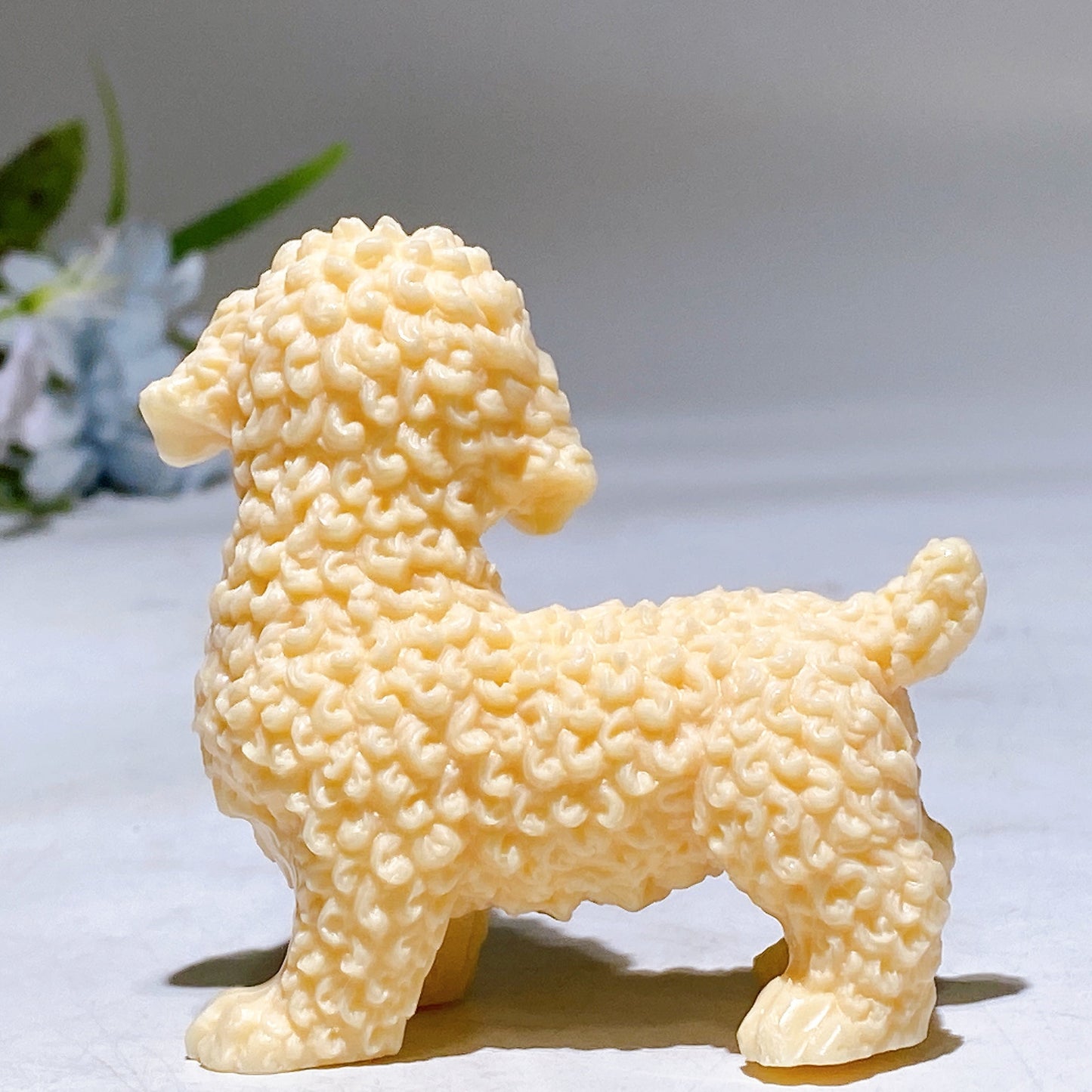 2.6" Ivory Nut Dog Carving Crystal Healing Bulk Wholesale