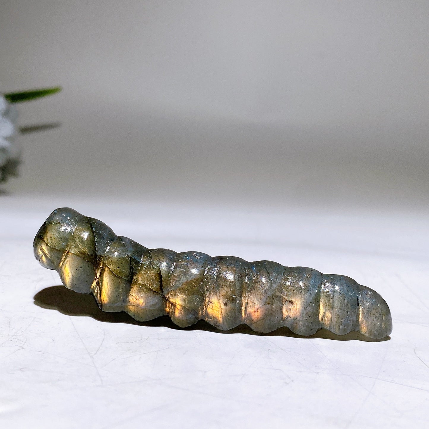 3.2"-3.6" Labradorite Caterpillar Carving Crystal Healing Bulk Wholesale