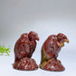 2.0" Picture Jasper Vulture Carving Crystal Healing Bulk Wholesale