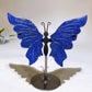 Lapis Ocean Jasper Butterfly Wings with Stand