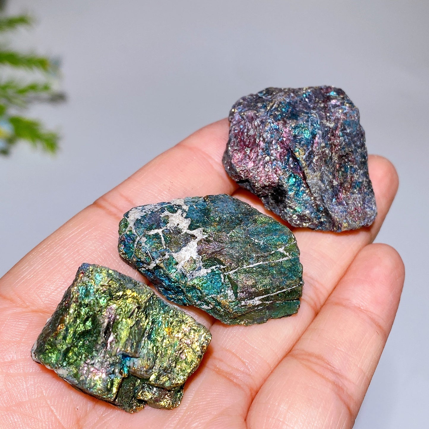 Bornite Raw Stone Bag Crystal Healing Bulk Wholesale