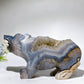 22cm Large Unique Druzy Volcanic Agate Bear Carving Crystal Healing Bulk Wholesale