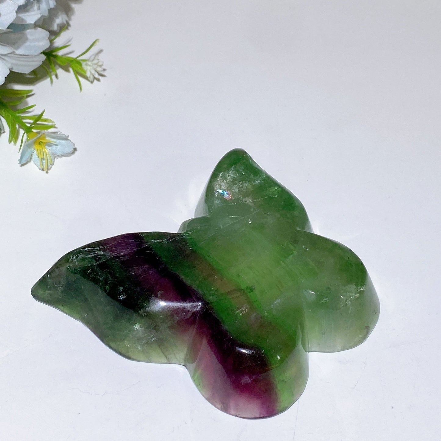 4.0" Fluorite Butterfly Bowl Carving Crystal Healing Bulk Wholesale