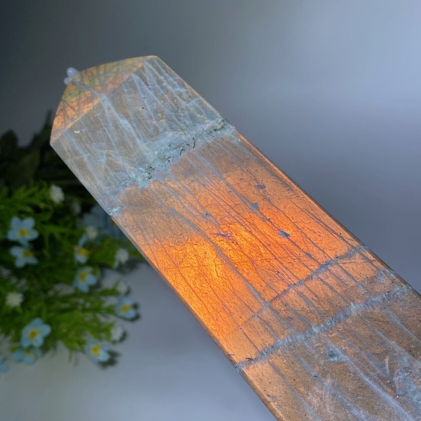 42cm Large Sunset Flash Labradorite Tower with Wooden Stand Crystal Healing