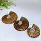 2.8"-5.5" Ammonite Specimen Crystal Healing Bulk Wholesale