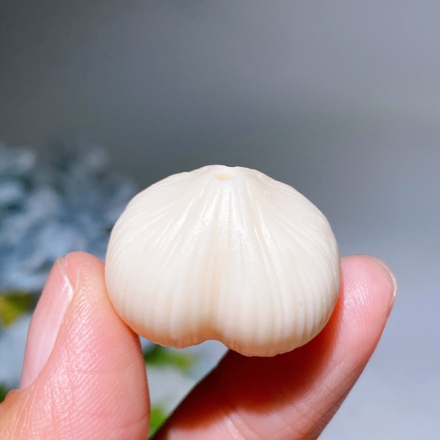 1.0 Ivory Nut Garlic Carving Crystal Healing Bulk Wholesale