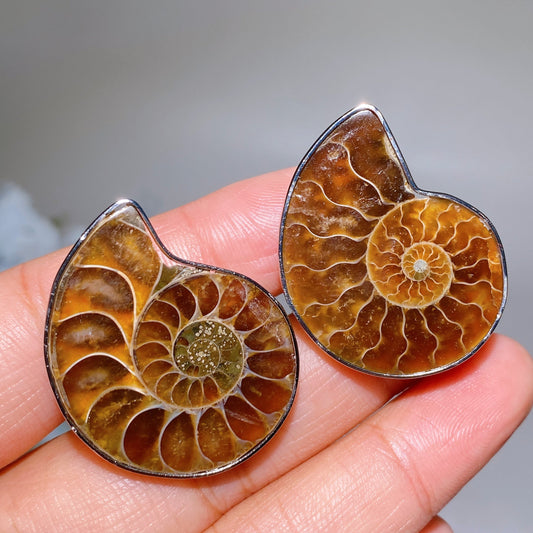 Adjustable Ammonite Ring Crystal Healing Bulk Wholesale
