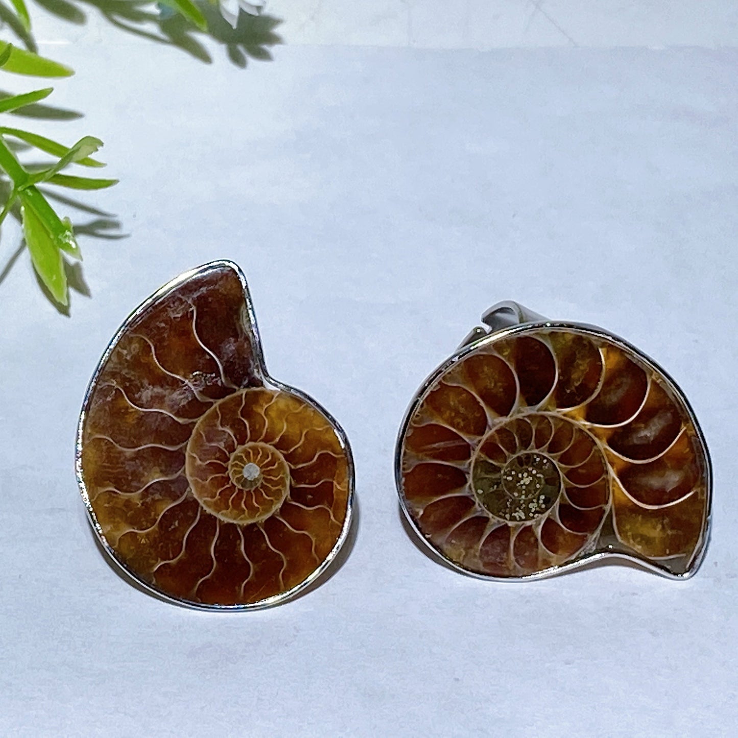 Adjustable Ammonite Ring Crystal Healing Bulk Wholesale