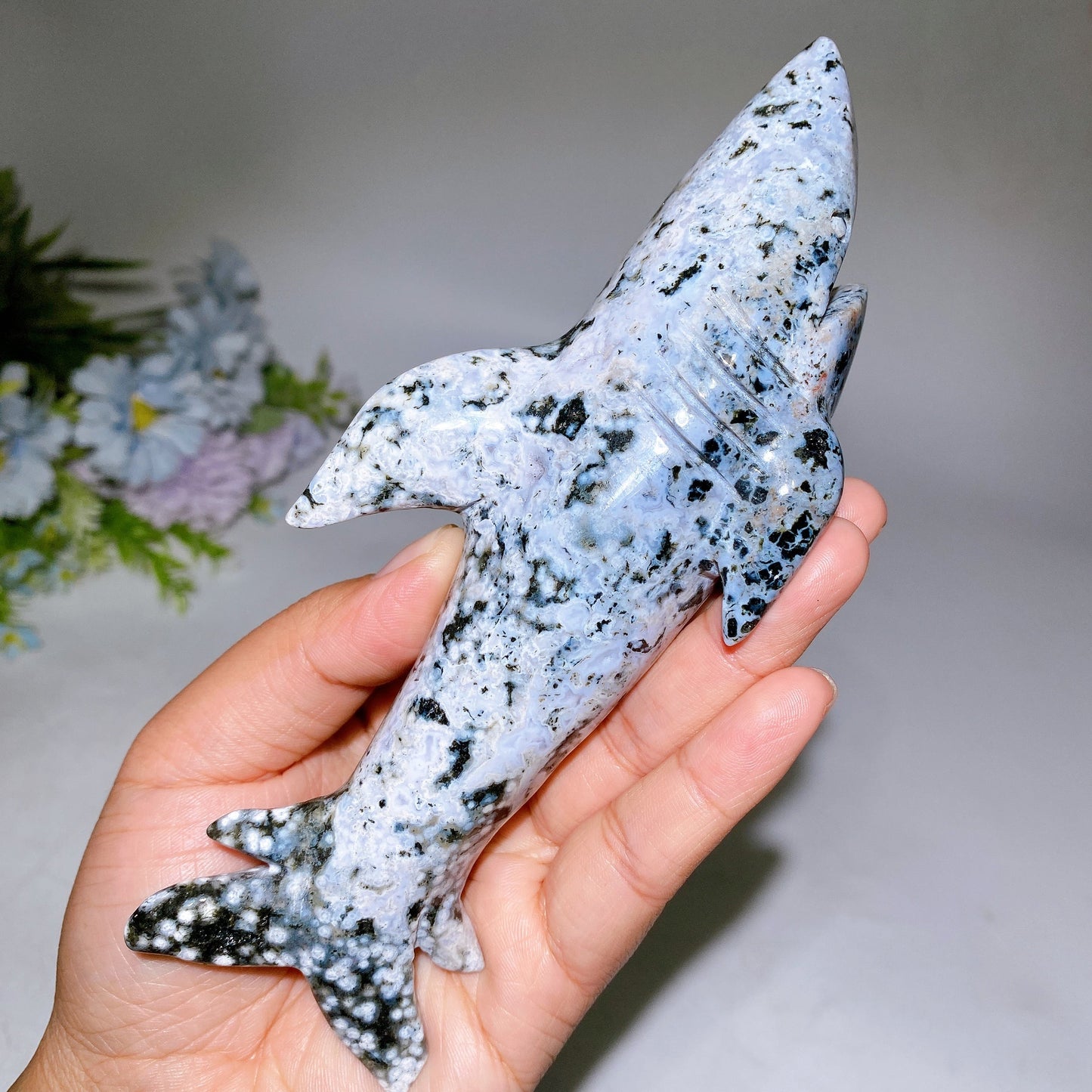 17cm Ocean Jasper Shark Carving Crystal Healing Bulk Wholesale