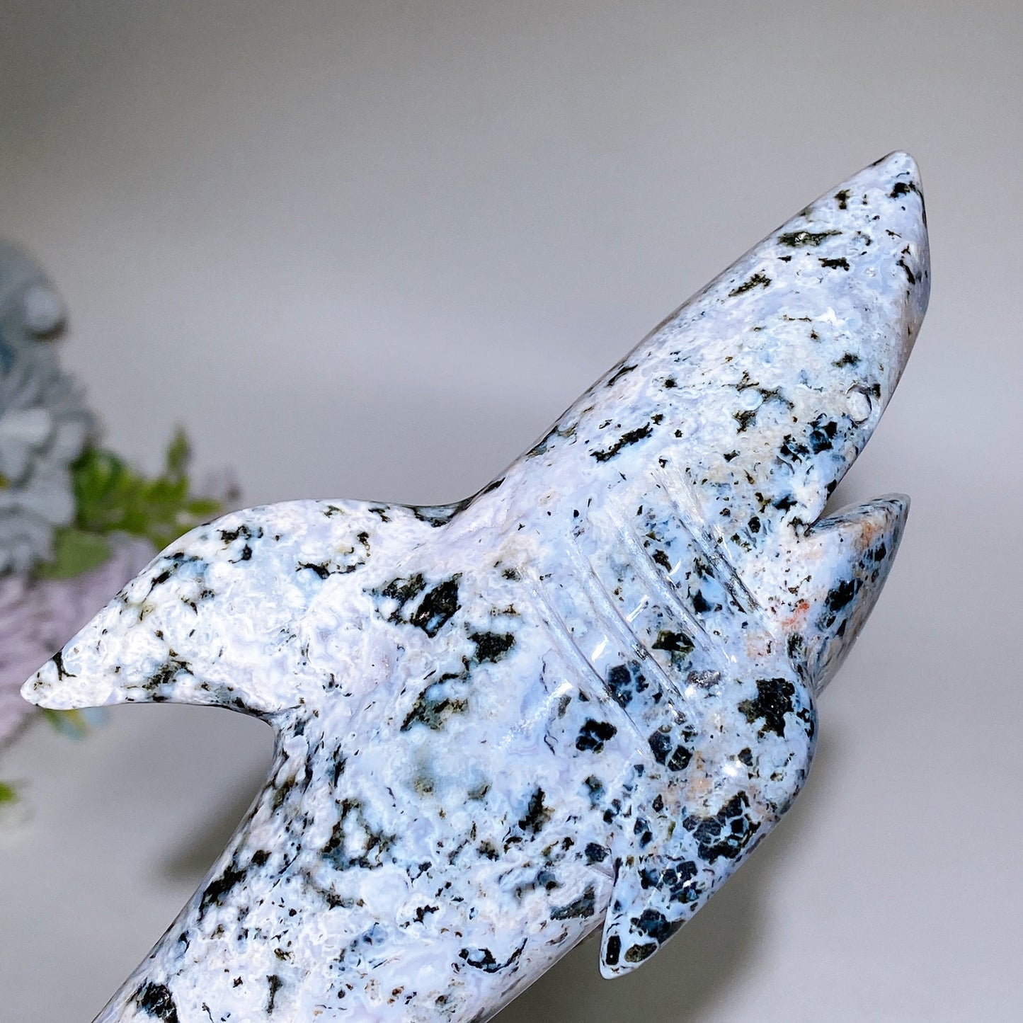 17cm Ocean Jasper Shark Carving Crystal Healing Bulk Wholesale