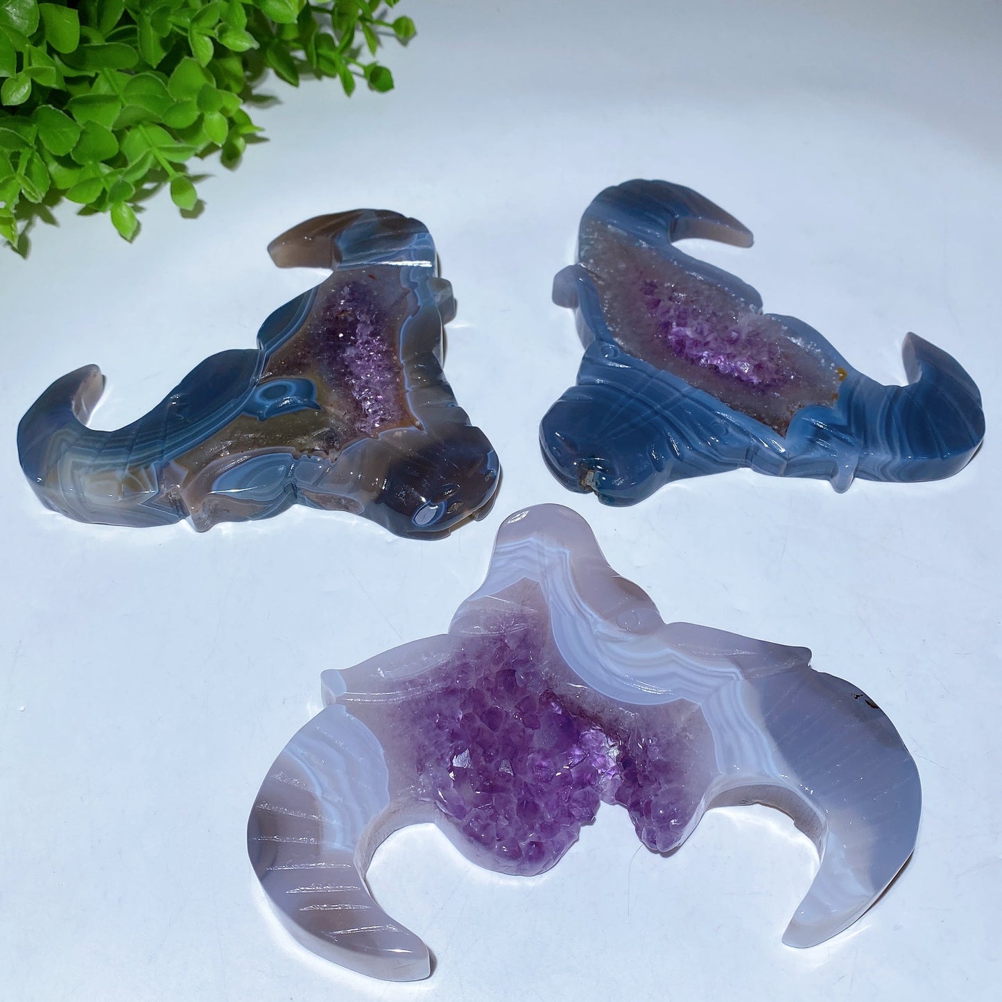 5.4" Druzy Amethyst Bull Head Crystal Carvings Crystal Healing Bulk Wholesale