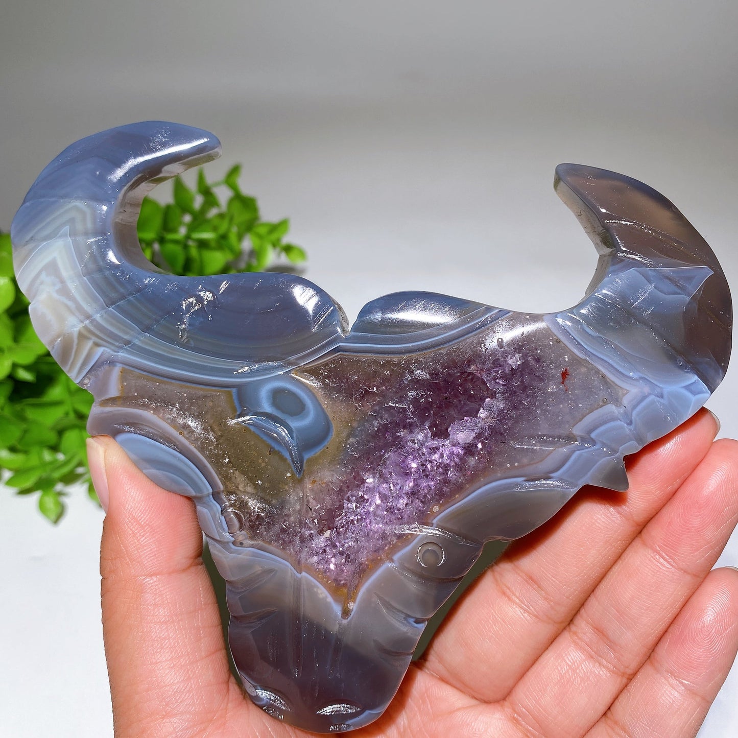 5.4" Druzy Amethyst Bull Head Crystal Carvings Crystal Healing Bulk Wholesale