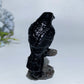 3.4" Black Obsidian Raven on Branch Carving Crystal Healing Bulk Wholesale