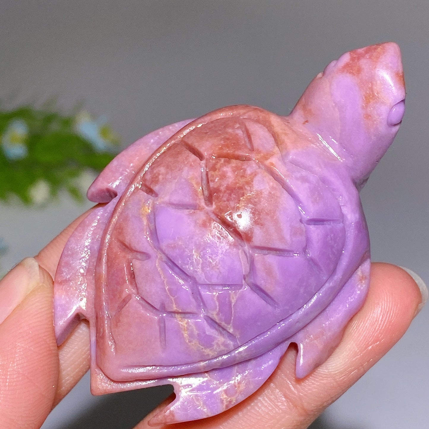 2.0"-2.4" Phosphosiderite Turtle Carving Crystal Healing Bulk Wholesale