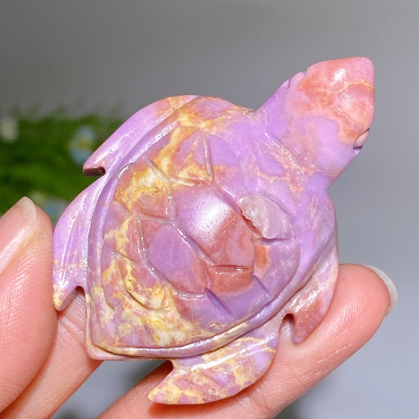 2.0"-2.4" Phosphosiderite Turtle Carving Crystal Healing Bulk Wholesale