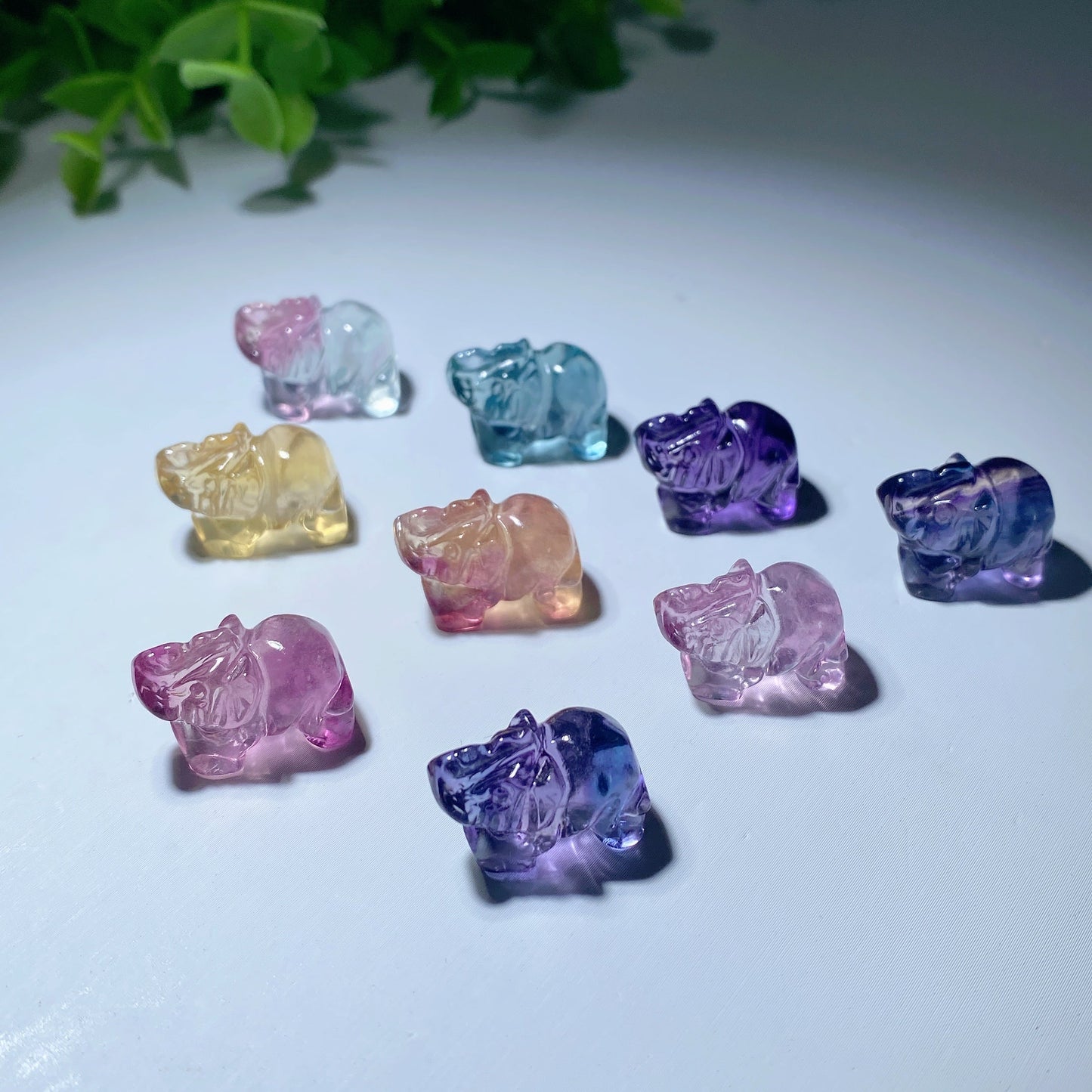 Mini Fluorite Animal Carvings Bulk Wholesale