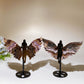 Aurora Fluorite Angel Wings Carving with Stand Crystal Healing Bulk Wholesale