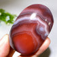 2.0"-2.5" Botswana Agate Palm Stone Crystal Healing Bulk Wholesale