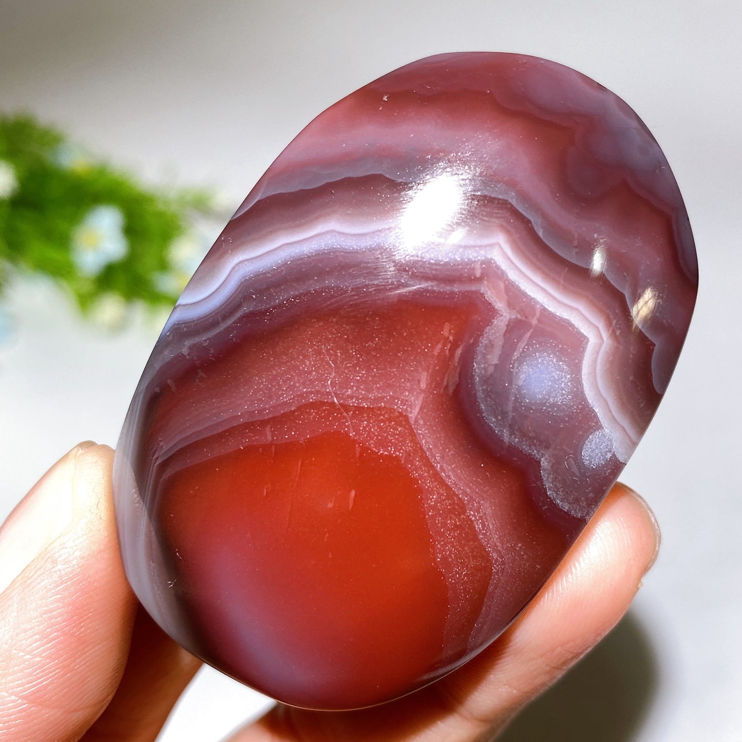 2.0"-2.5" Botswana Agate Palm Stone Crystal Healing Bulk Wholesale