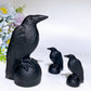 2.3"-4.9" Black Obsidian Raven Carving Crystal Healing Bulk Wholesale