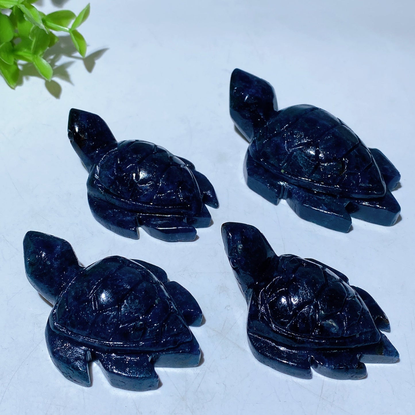 2.2"-3.2" Cordierite Turtle Carving Crystal Healing Bulk Wholesale