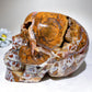 6.3" Large Unique Brecciated Agate Skull Crystal Healing Carving