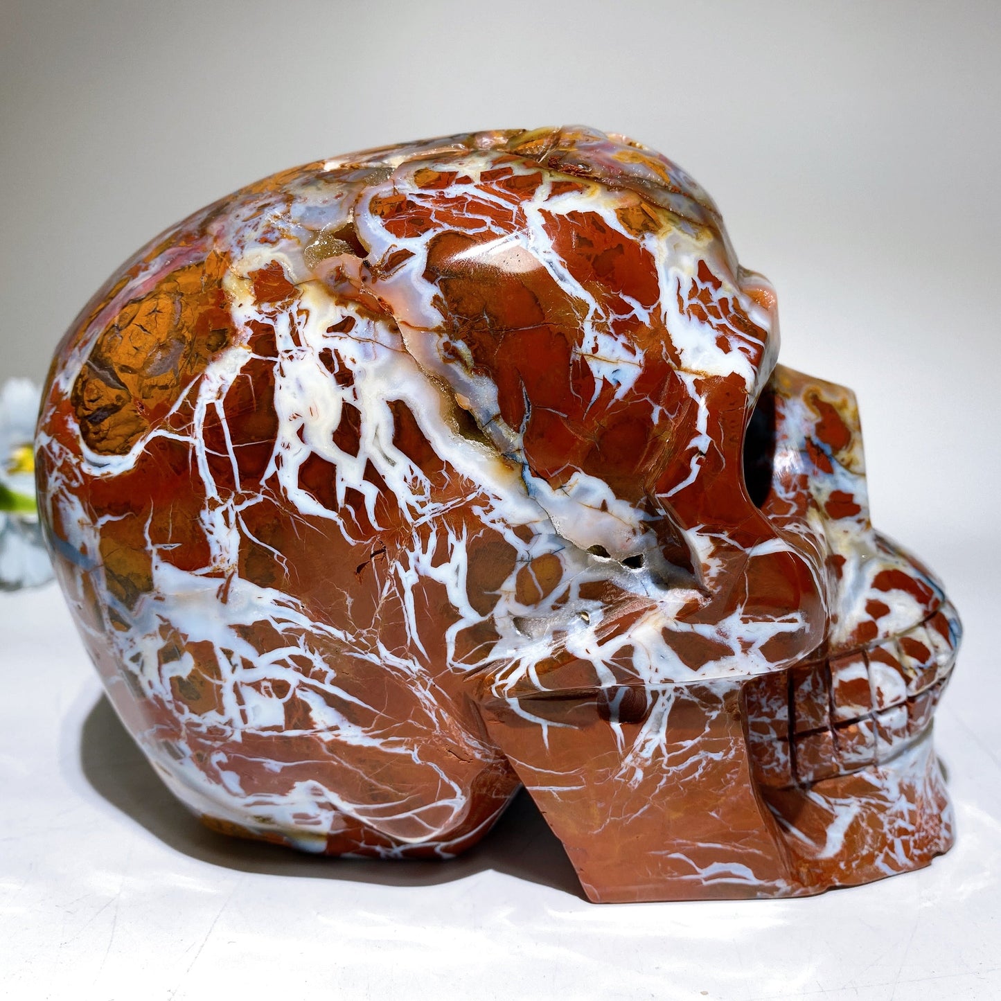 6.3" Large Unique Brecciated Agate Skull Crystal Healing Carving