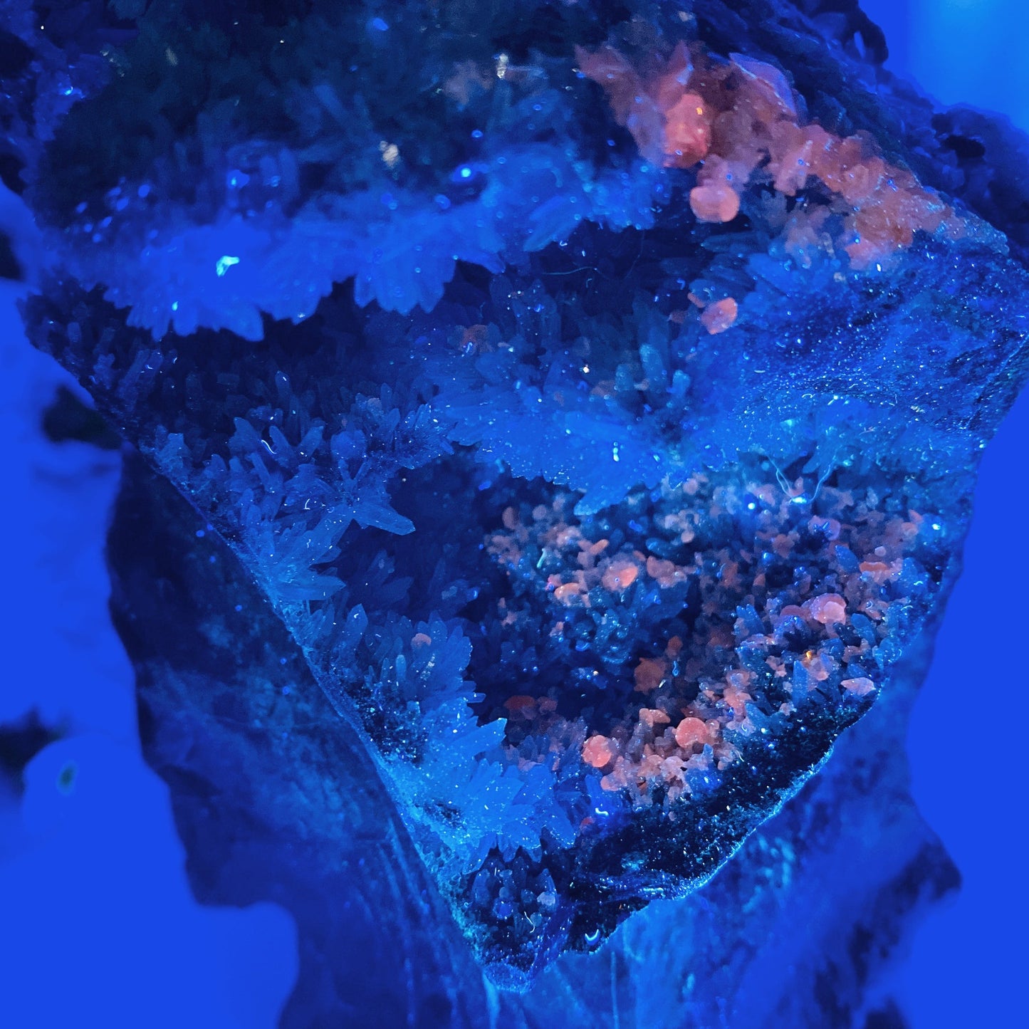 18cm Large Unique Sphelarite Grow with UV Reactive Calcite Skull Carving Crystal Healing Bulk Wholesale